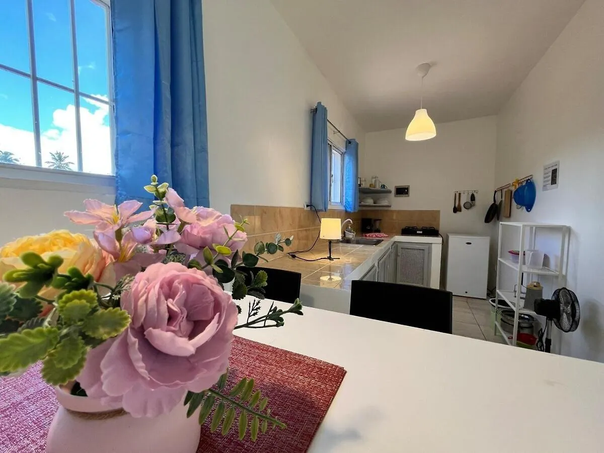 Apartment Ferienwohnung Residencia Nilaya Las Terrenas Dominikanische Republik